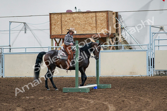 2020 - AB Morgan Horse - Fri, Sept 04 - 00349