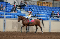 2020 - AB Morgan Horse - Sat, Sept 05 - 05775