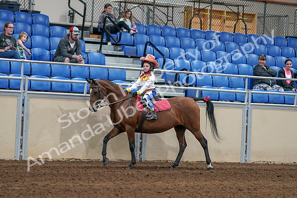 2020 - AB Morgan Horse - Sat, Sept 05 - 05775