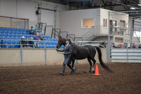 2019 Morgan Horse Show - Aug 31, 2019 - 02103