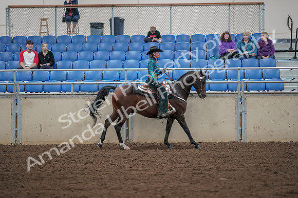 2019 Morgan Horse Show - Aug 30, 2019 - 26188