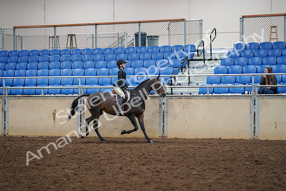 2019 Morgan Horse Show - Aug 30, 2019 - 12420