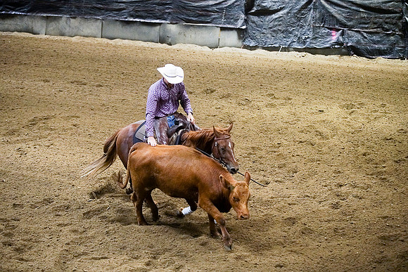 DSC04334