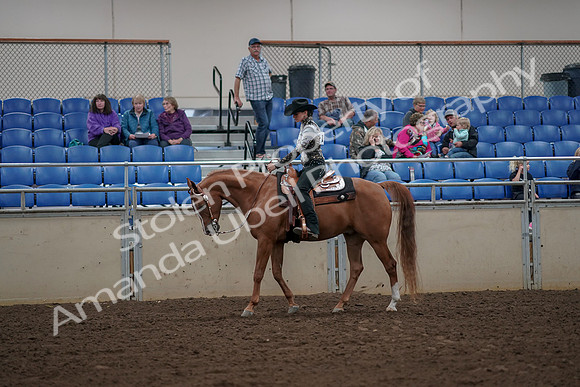 2019 Morgan Horse Show - Aug 30, 2019 - 26005