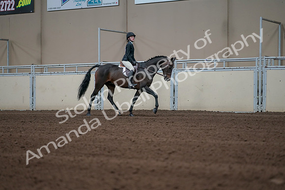 2019 Morgan Horse Show - Sept 01, 2019 - 03839