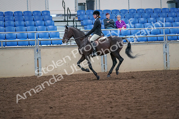2019 Morgan Horse Show - Aug 30, 2019 - 20540