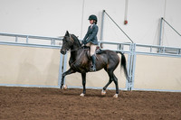 2020 - AB Morgan Horse - Sat, Sept 05 - 09062