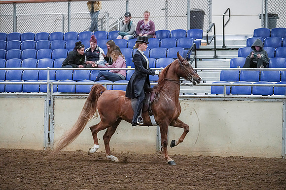 Spring Fling - Saturday - April 20, 2019  -  04420