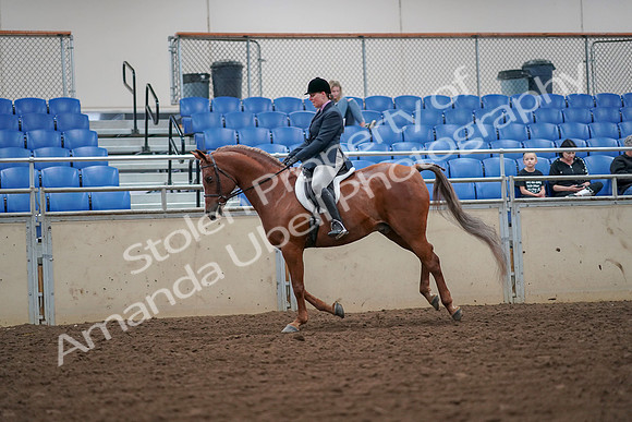 2019 Morgan Horse Show - Aug 30, 2019 - 16406