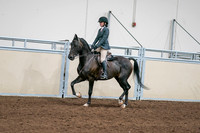 2020 - AB Morgan Horse - Sat, Sept 05 - 09061