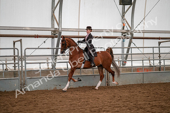 July 19, 2019 - 10324