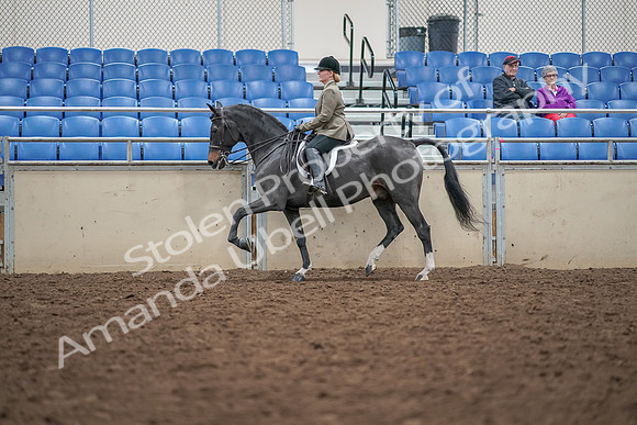 2019 Morgan Horse Show - Aug 30, 2019 - 20295