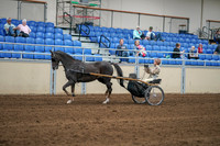 2020 - AB Morgan Horse - Sat, Sept 05 - 05847