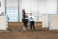 2020 - AB Morgan Horse - Sat, Sept 05 - 00632