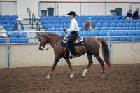 2019 Morgan Horse Show - Aug 31, 2019 - 14116