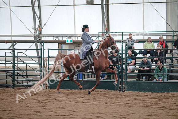 July 20, 2019 - 17142