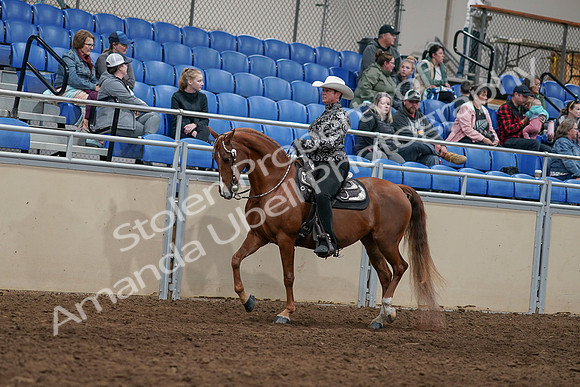 2020 - AB Morgan Horse - Sun, Sept 06 - 07492