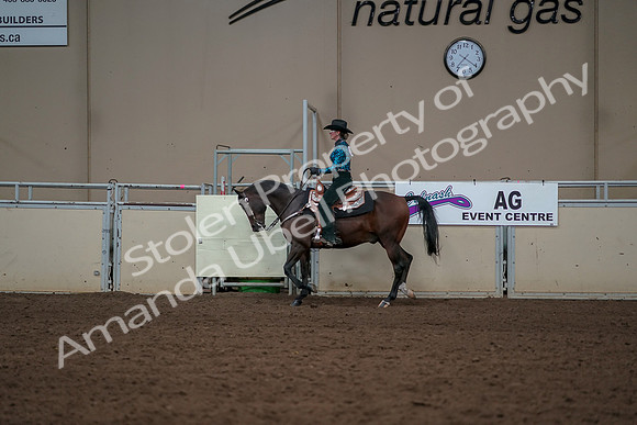 2019 Morgan Horse Show - Aug 30, 2019 - 26029