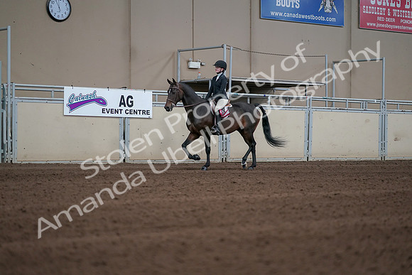 2019 Morgan Horse Show - Sept 01, 2019 - 03962