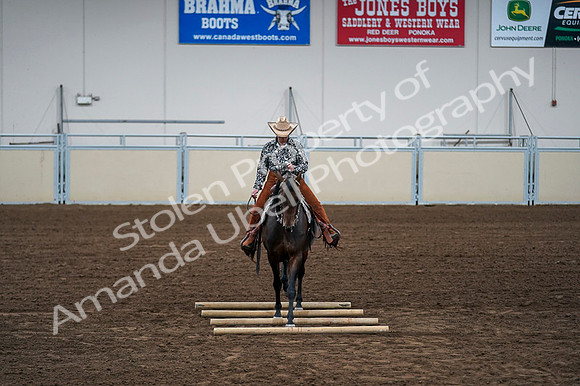 2020 - AB Morgan Horse - Fri, Sept 04 - 00437