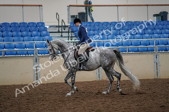 2019 Morgan Horse Show - Aug 30, 2019 - 22197