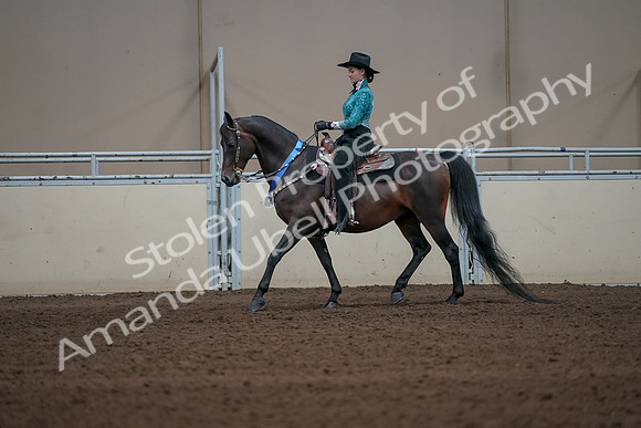 2019 Morgan Horse Show - Sept 01, 2019 - 07316