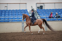 2019 Morgan Horse Show - Aug 31, 2019 - 16898