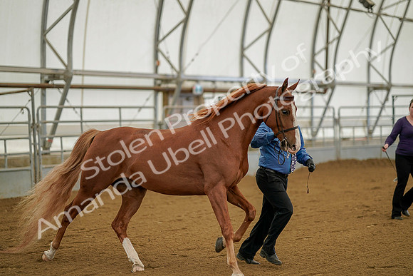 July 19, 2019 - 901