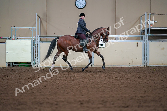 2019 Morgan Horse Show - Aug 30, 2019 - 20704