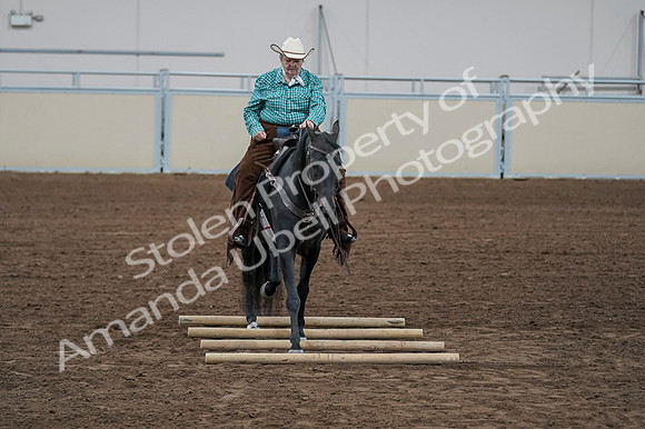 2020 - AB Morgan Horse - Fri, Sept 04 - 00520
