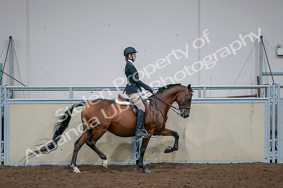 2020 - AB Morgan Horse - Fri, Sept 04 - 06028
