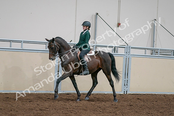 2020 - AB Morgan Horse - Sat, Sept 05 - 05040