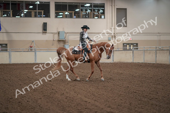 2019 Morgan Horse Show - Aug 30, 2019 - 26212