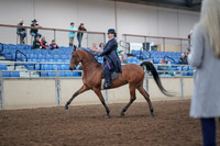 2019 Morgan Horse Show - Aug 31, 2019 - 08466