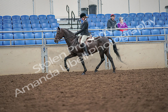 2019 Morgan Horse Show - Aug 30, 2019 - 20127