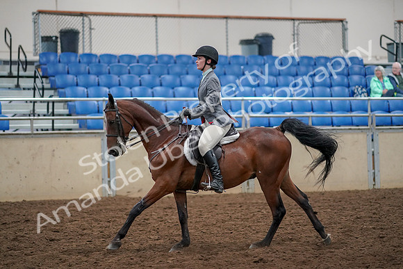 2019 Morgan Horse Show - Aug 30, 2019 - 23454