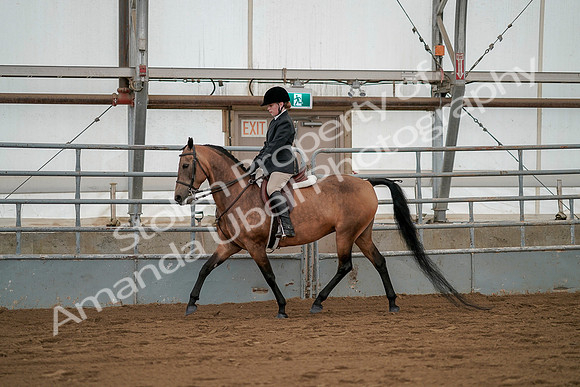 July 19, 2019 - 2539