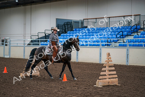 2020 - AB Morgan Horse - Fri, Sept 04 - 00384