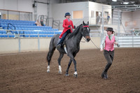 2019 Morgan Horse Show - Sept 01, 2019 - 10679_1