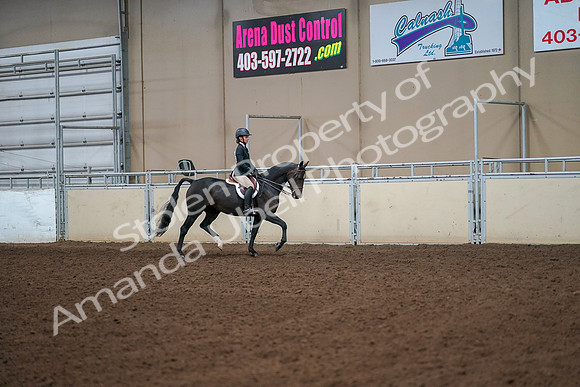 2019 Morgan Horse Show - Aug 30, 2019 - 12337