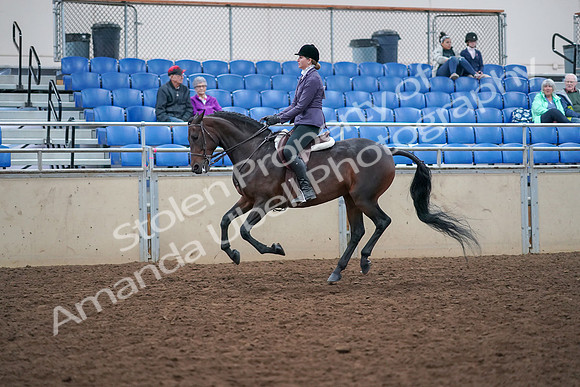 2019 Morgan Horse Show - Aug 30, 2019 - 20583