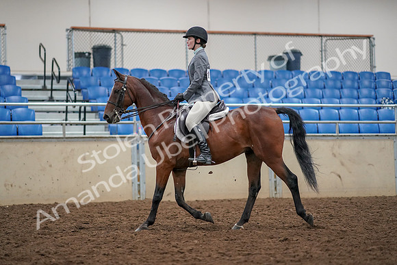 2019 Morgan Horse Show - Aug 30, 2019 - 23200