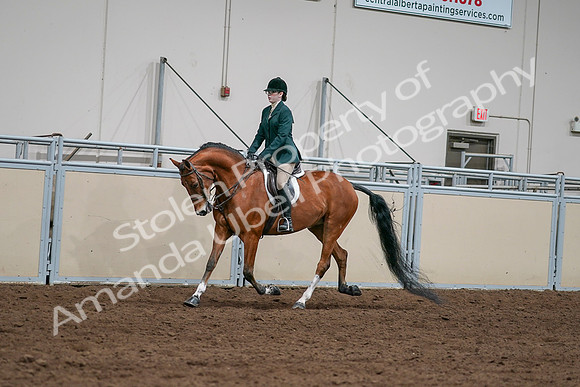 2020 - AB Morgan Horse - Sat, Sept 05 - 05013