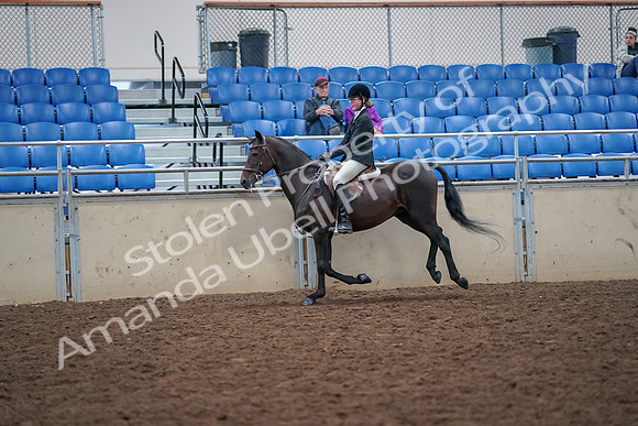 2019 Morgan Horse Show - Aug 30, 2019 - 20646