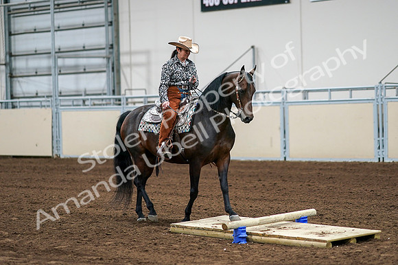 2020 - AB Morgan Horse - Fri, Sept 04 - 00313