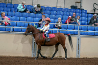 2020 - AB Morgan Horse - Sat, Sept 05 - 05778