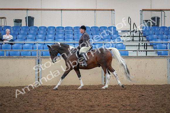 2019 Morgan Horse Show - Aug 30, 2019 - 22340