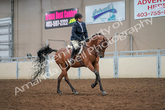 2019 Morgan Horse Show - Aug 30, 2019 - 22538