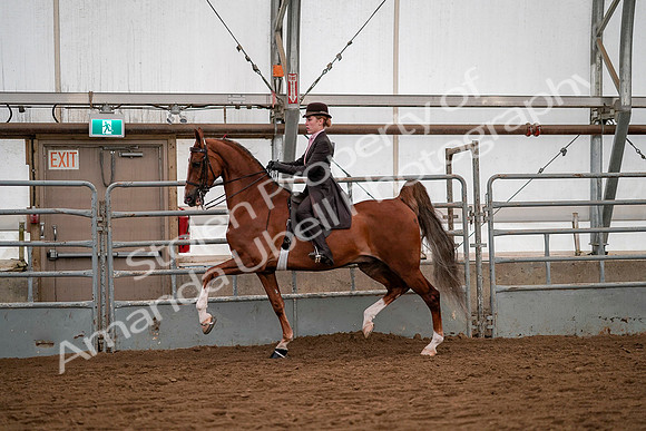 July 19, 2019 - 10348