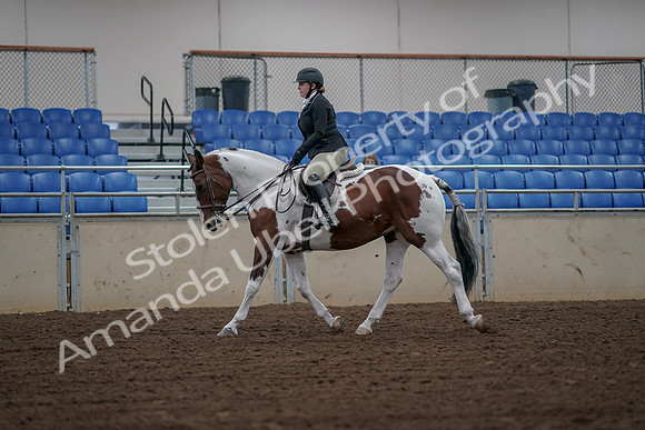 2019 Morgan Horse Show - Aug 30, 2019 - 14918